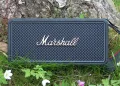 Marshall Middleton II lænet mod birketræ med blomster omkring