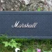 Marshall Middleton II lænet mod birketræ med blomster omkring