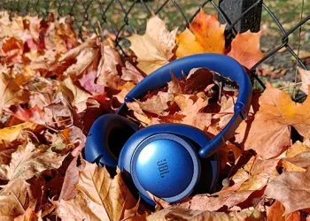 Blå JBL Live 780NC liggende i solskin på tørre ahornblade