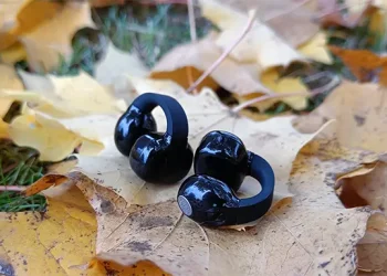 Sorte Sennheiser ACCENTUM Clip på tørrede efterårsblade på jorden